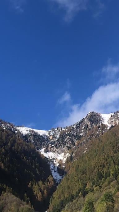 Il Sole Di Ester Branzi Exterior photo